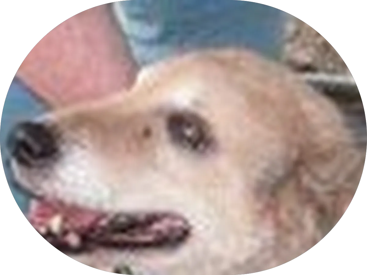 Concierge Primary Care Physician, Dr. Frank Pettinelli, Total Access Medical photo 4