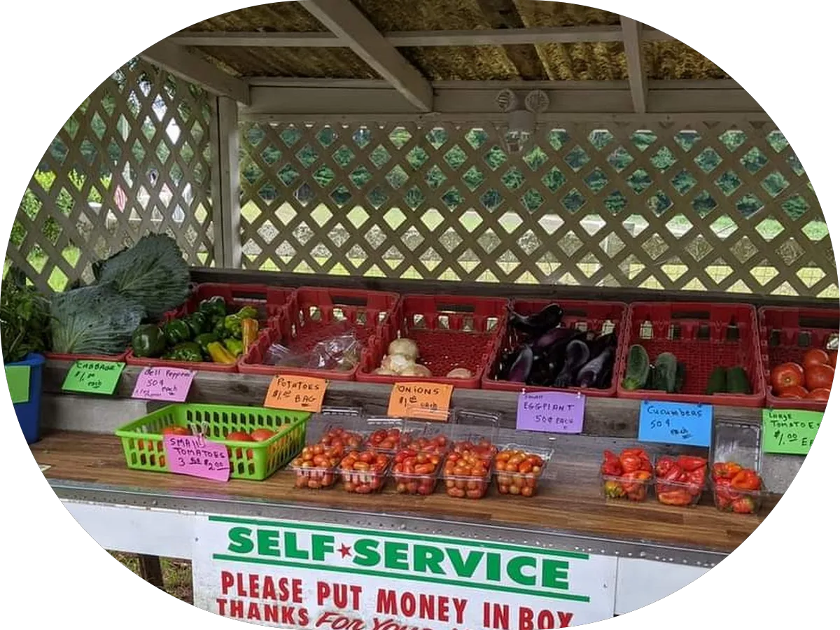 Connolly Dermatology photo 4