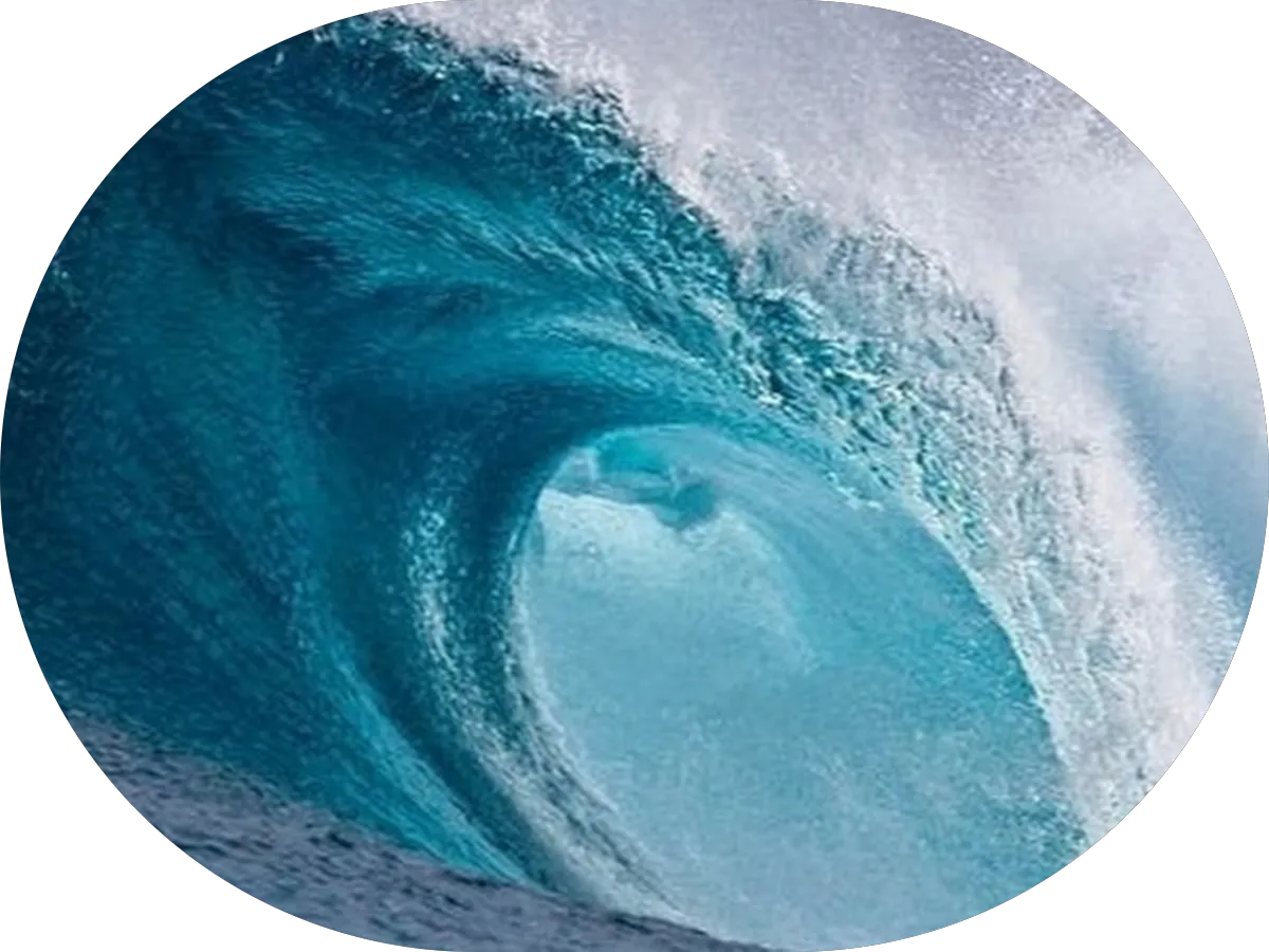 Connor Hansen - Real Estate Agent photo 4