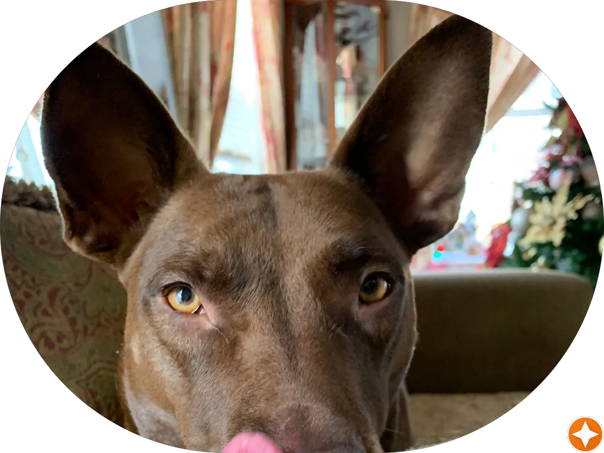 Consensus Health Primary Care Voorhees photo 5