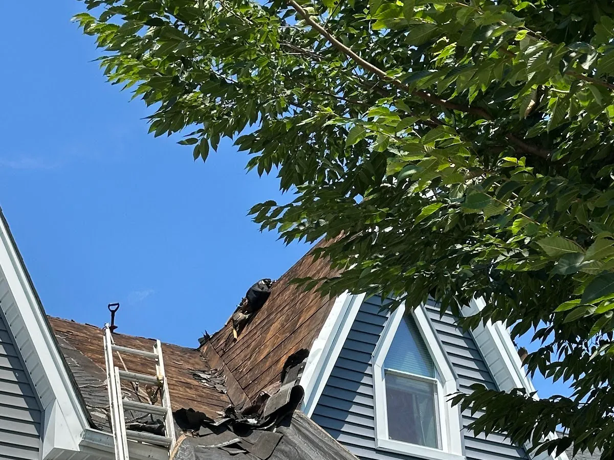 Conte Jr Thomas G DC