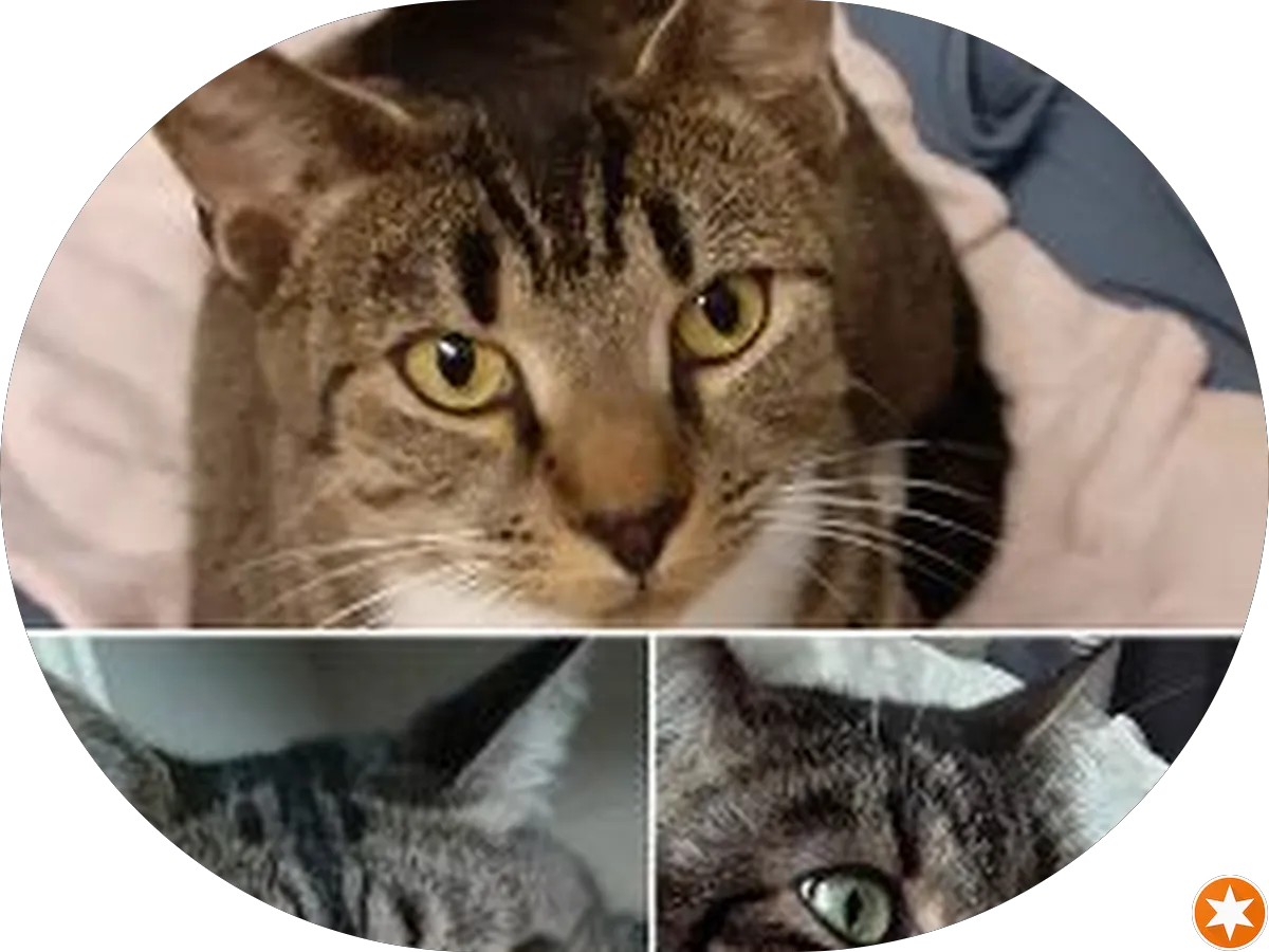 Cooper Care Alliance at Willingboro photo 4