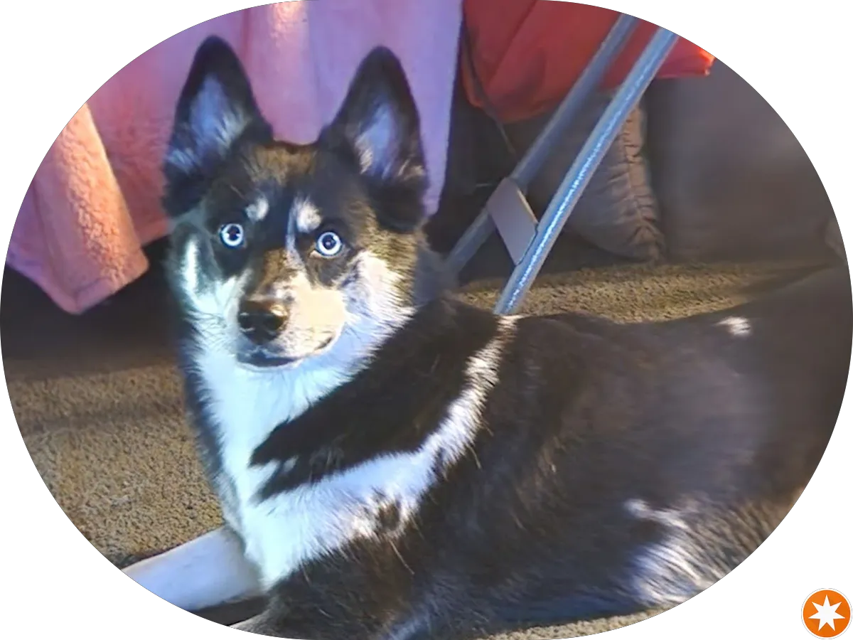 Cooper Medical Center Heliport