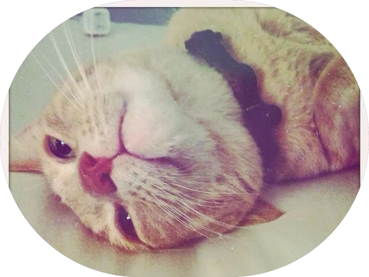 Cooper Pain Management at Camden