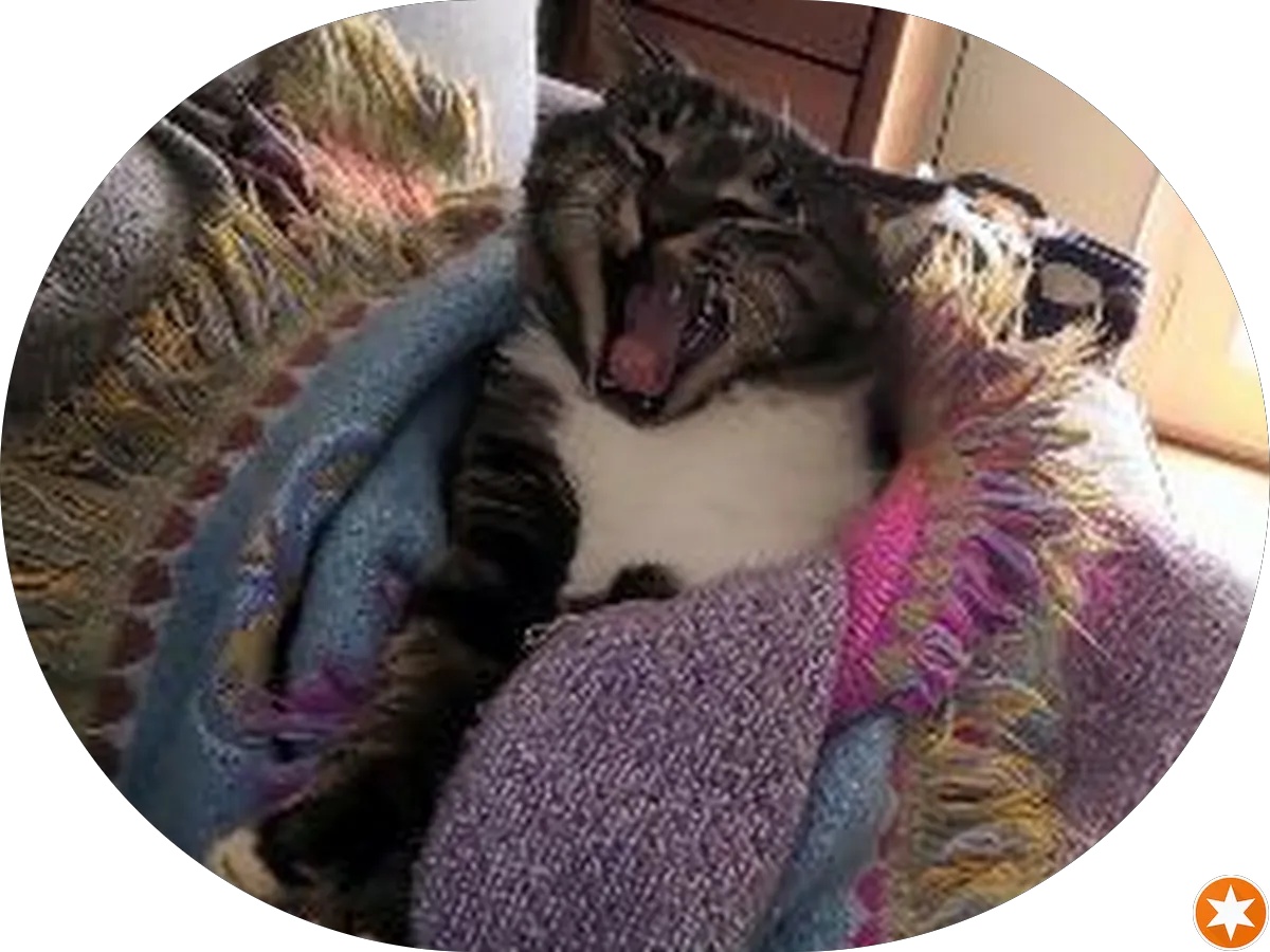 Cooper Pain Management at Camden photo 2