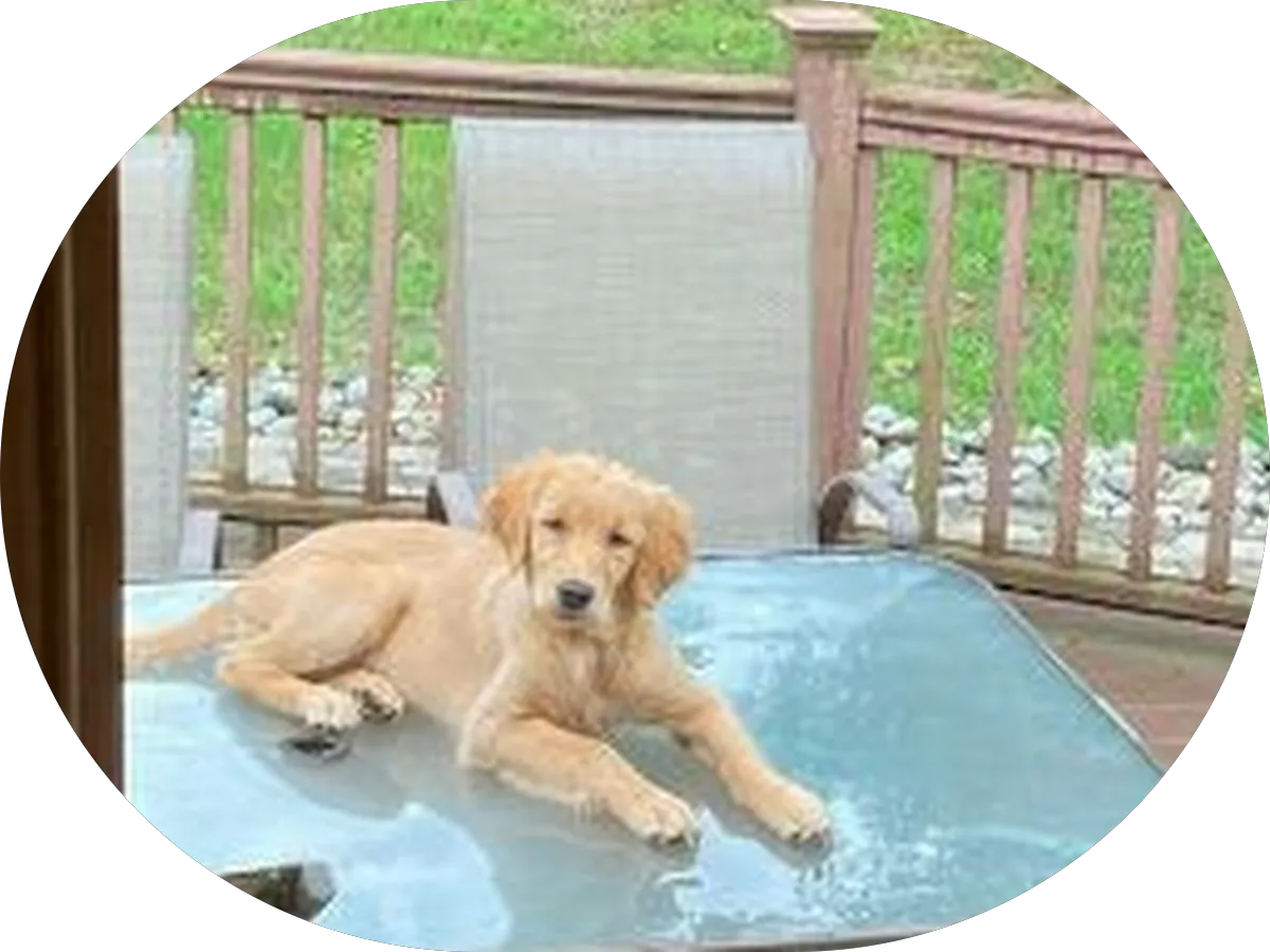 Cooper University Health Care Medical Records