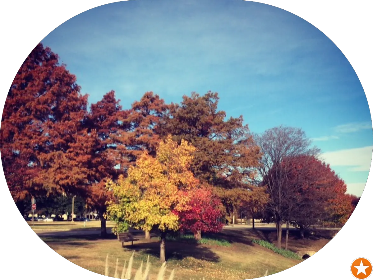 Cooper Urgent Care Cherry Hill photo 3