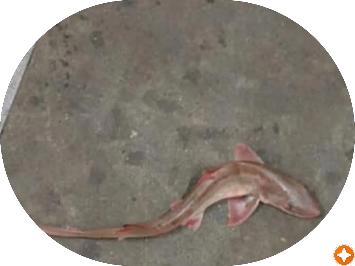 Cooper Urgent Care Cherry Hill photo 5