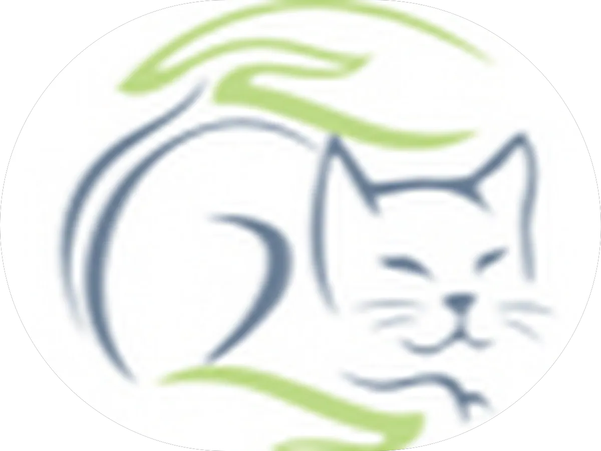 Copyland Imaging photo 2