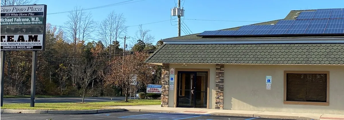 Corda Pain Institute