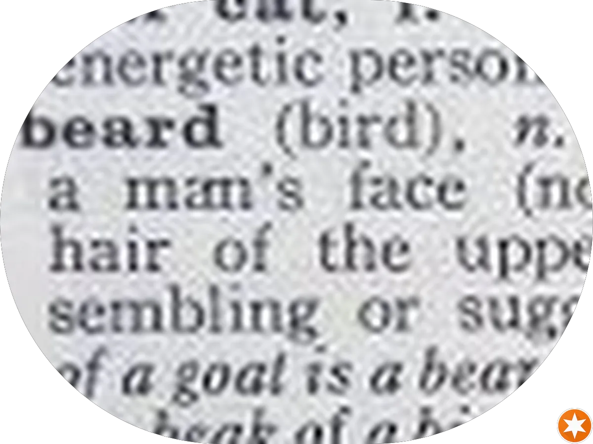 Cork n Bottle photo 5