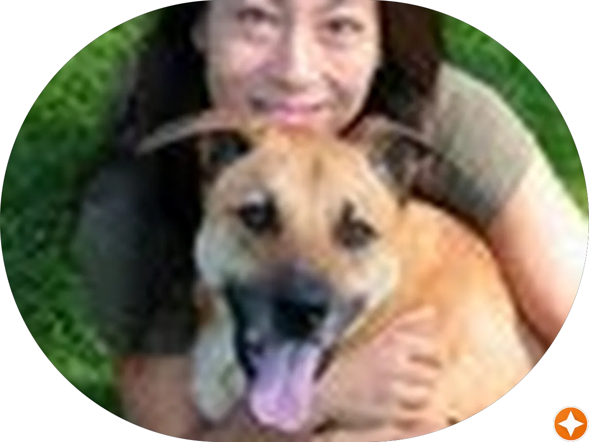 Costco Tire Service Center photo 2