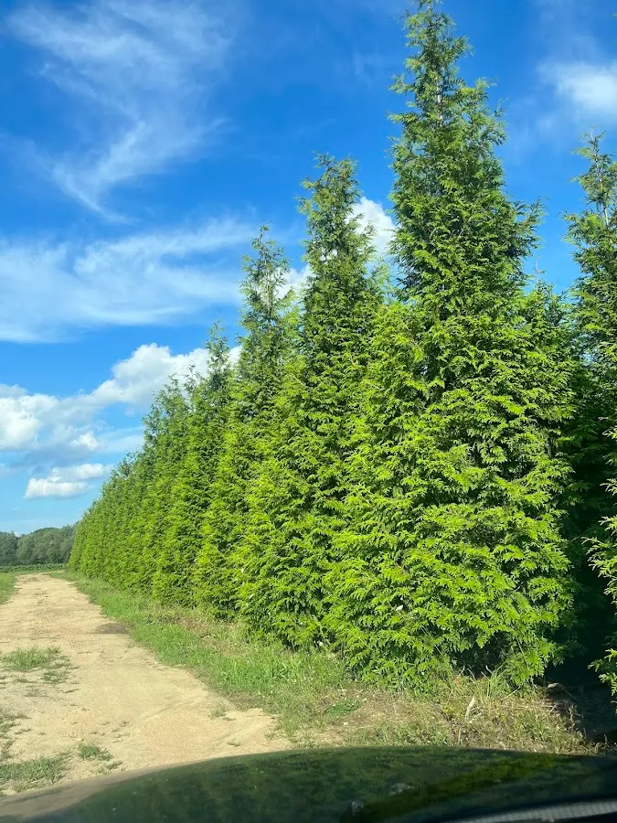 County Line Nurseries Inc.