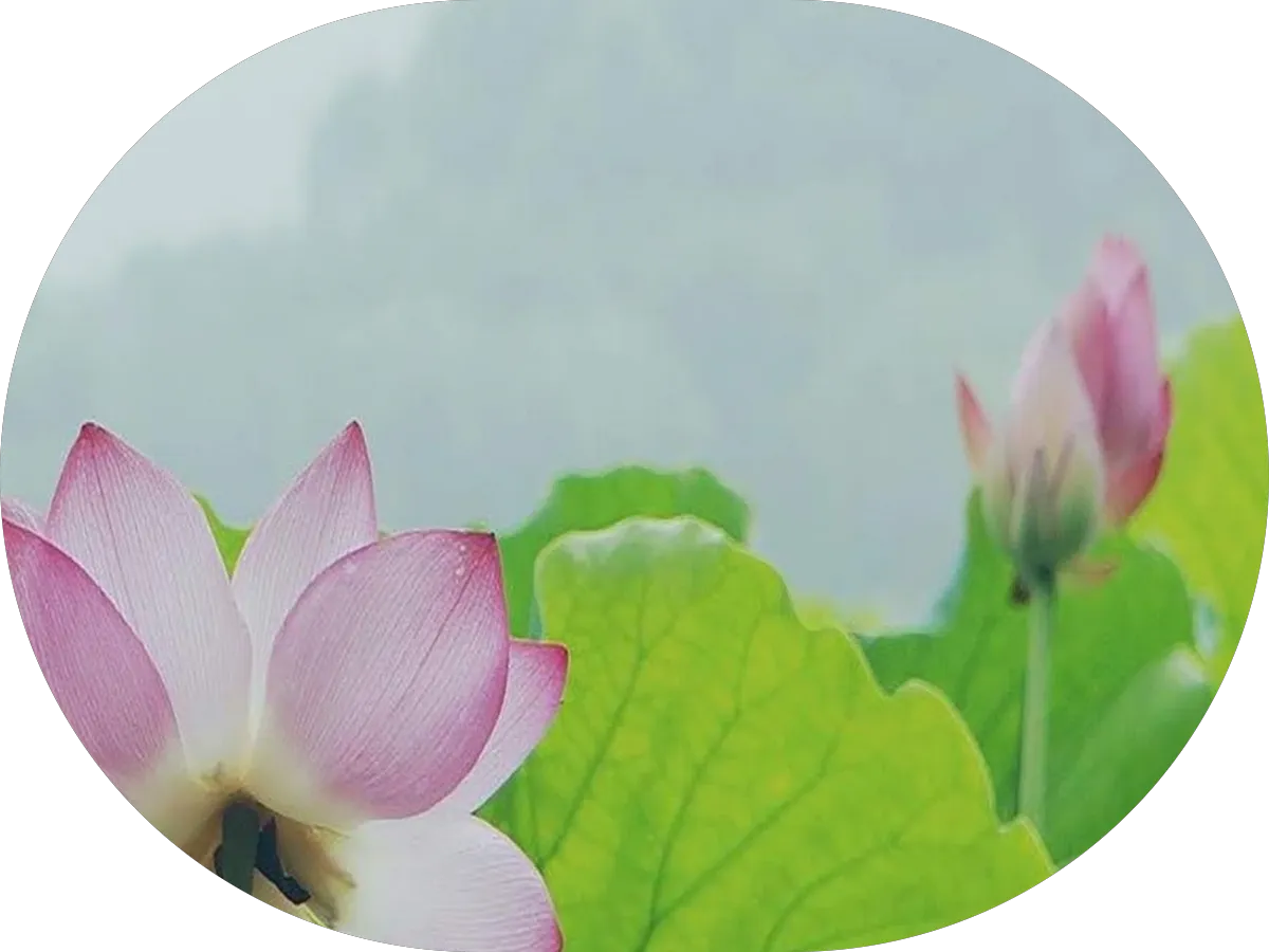 Coventry Crossing Florist photo 3