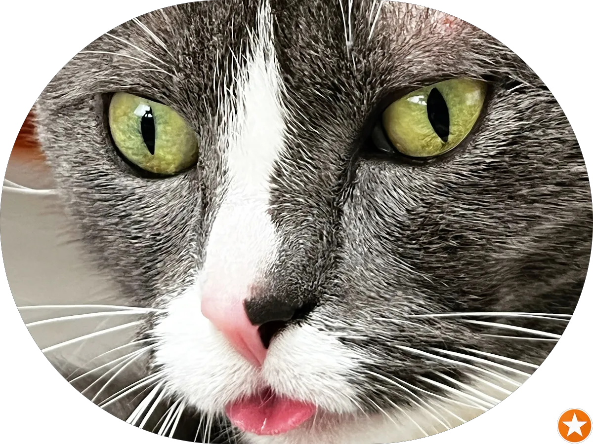 Cozy Foot Spa photo 4