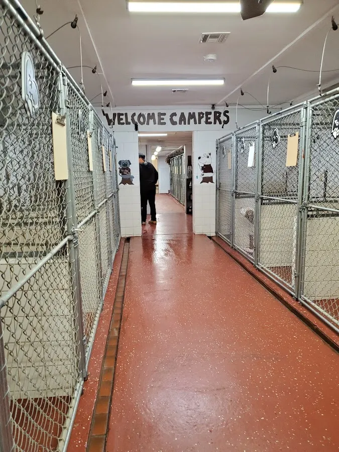 Cranberry Creek Pet Lodging photo 2