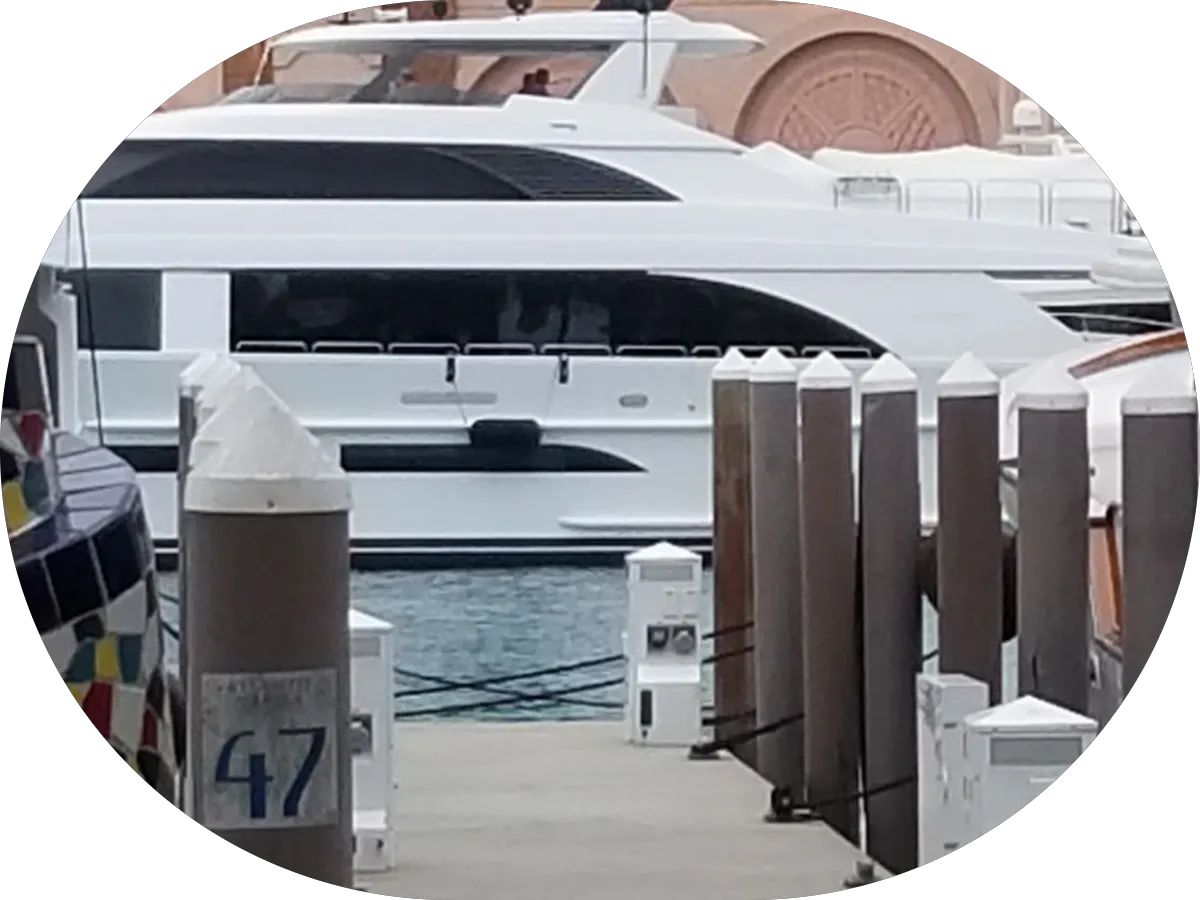 Cranberry Creek Pet Lodging photo 3