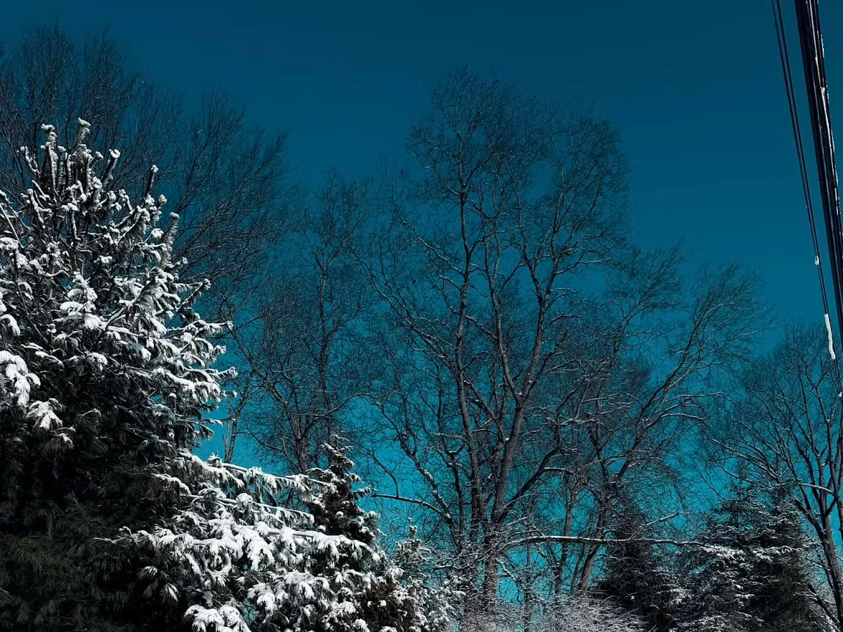 Cranbury Animal Hospital