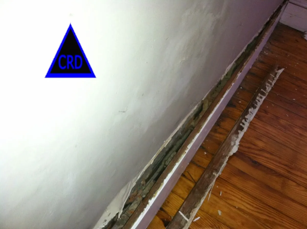 CRD: Mold Fire Water