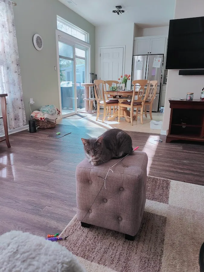 Cream Ridge Animal Clinic