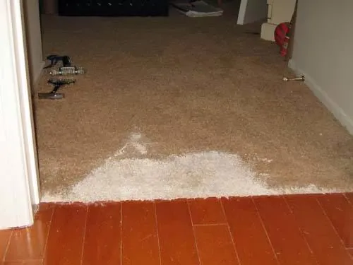 Creative Carpet Repair Monroe Township photo 2