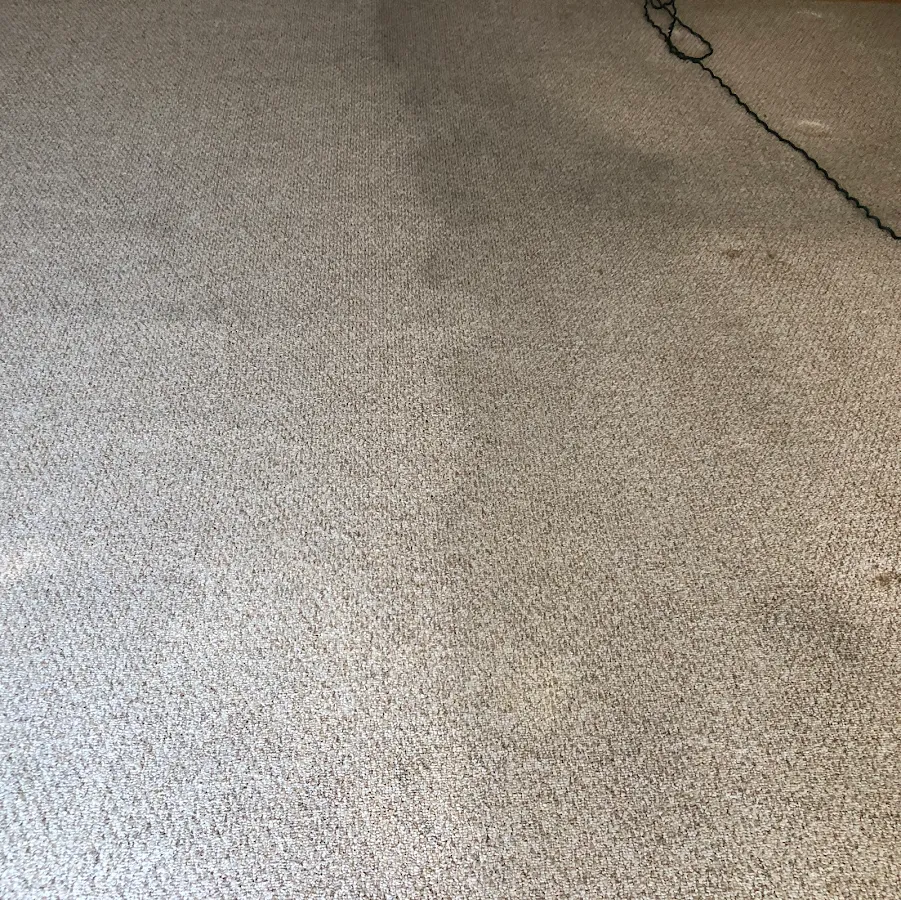 CRESTfully CLEAN: Carpets, Tile, Upholstery & Gen Cleaning Service (res & com), Turn Over, Office & New Construction Clng.