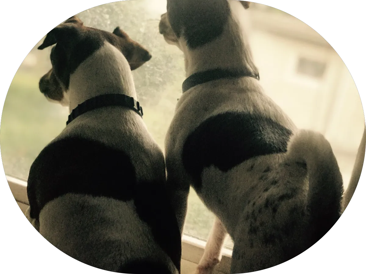 Cristina’s Beauty Spa photo 5