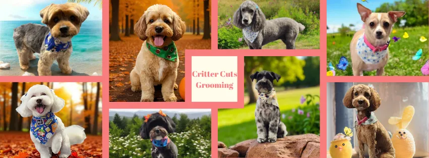 Critter Cuts Pet Grooming