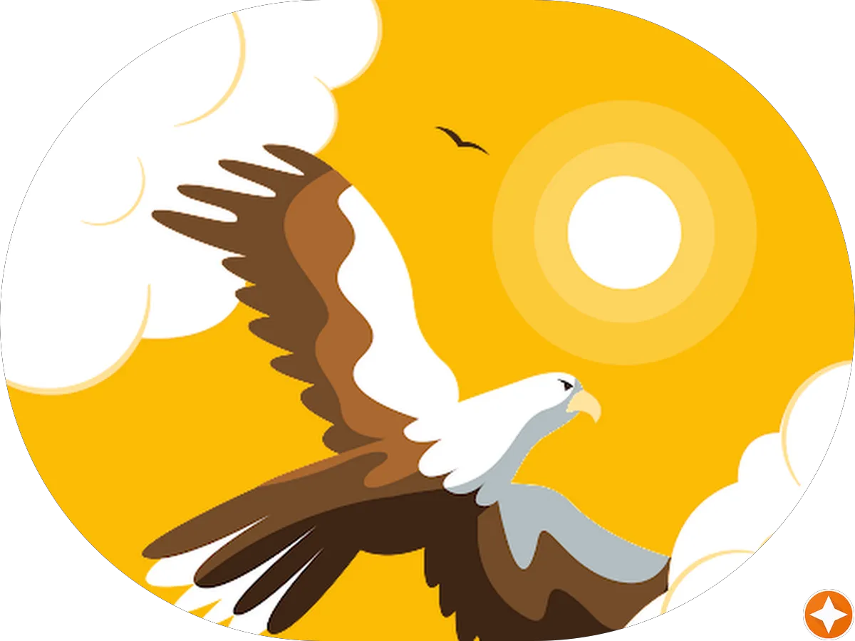 Critter Cuts Pet Grooming photo 4