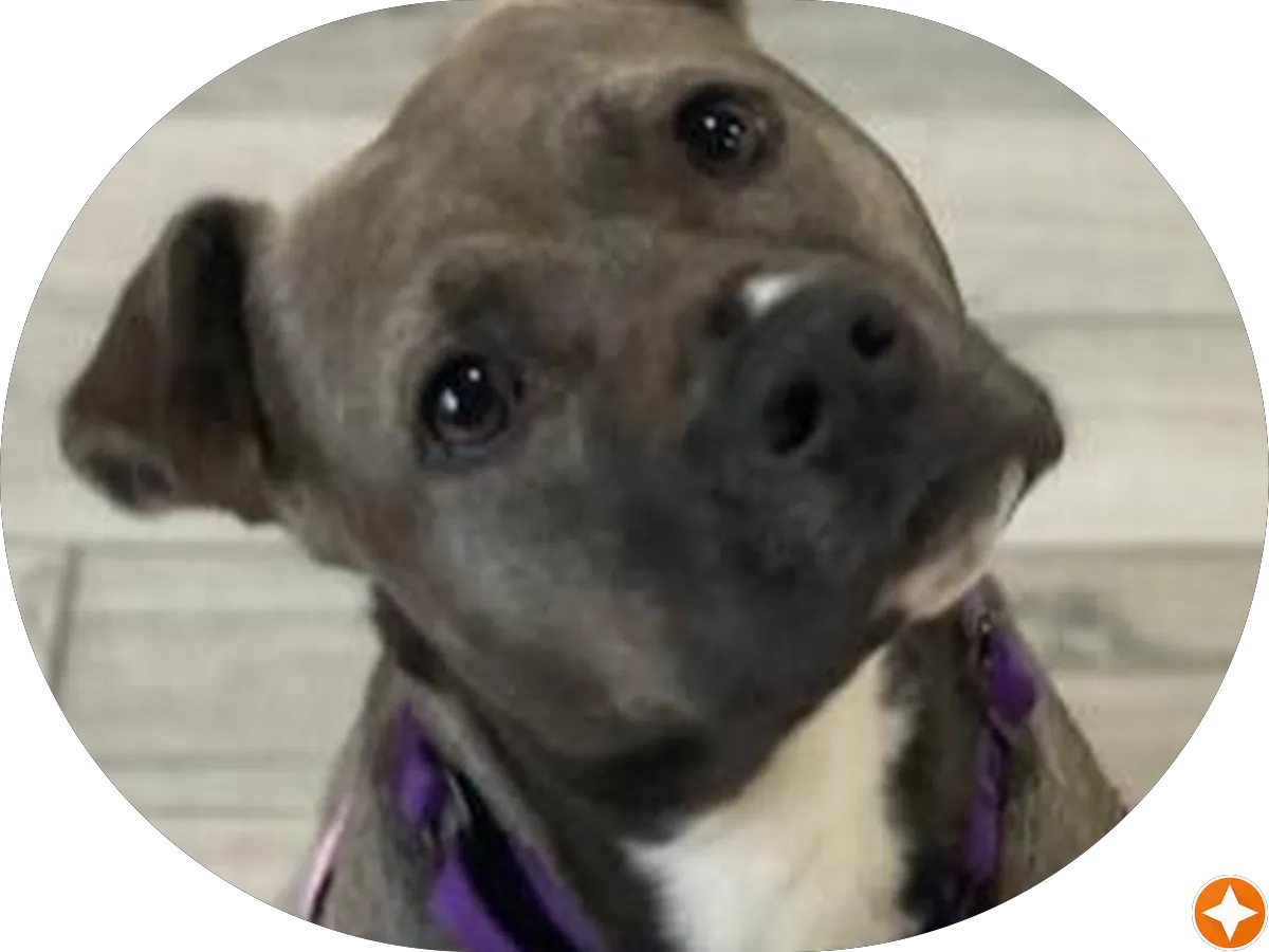 Crosby Private Wealth Advisors photo 3