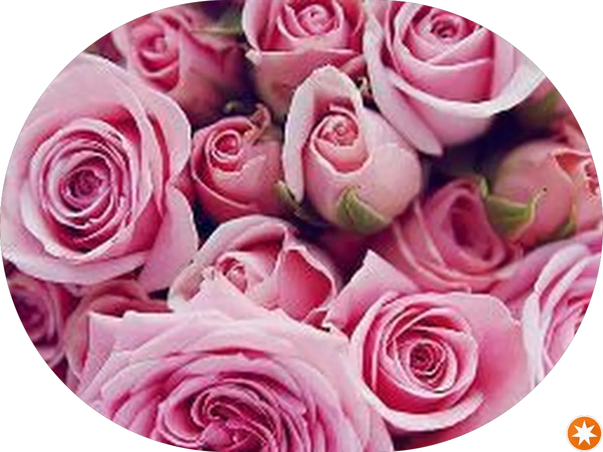 CTPHILLY COMPUTER REPAIR SERVICES photo 3