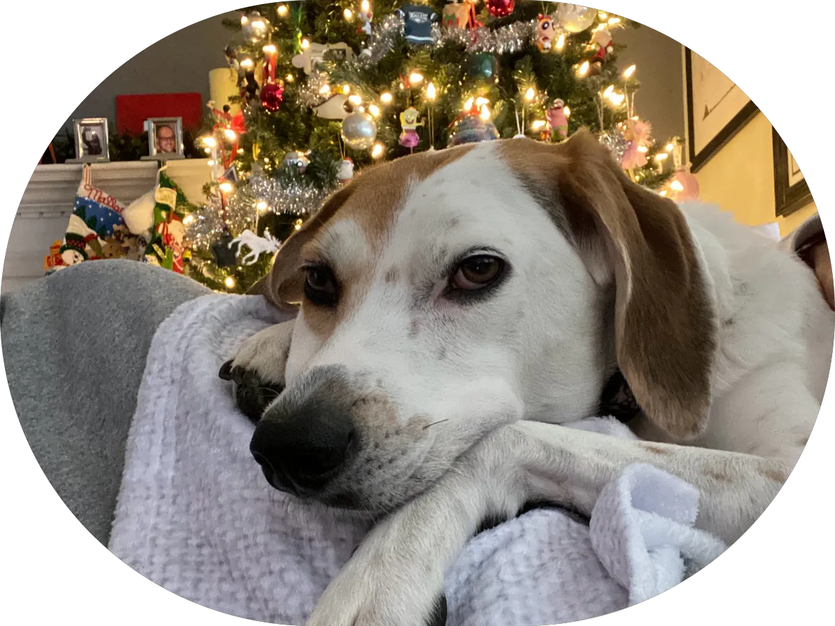 Cunningham Landscaping photo 2