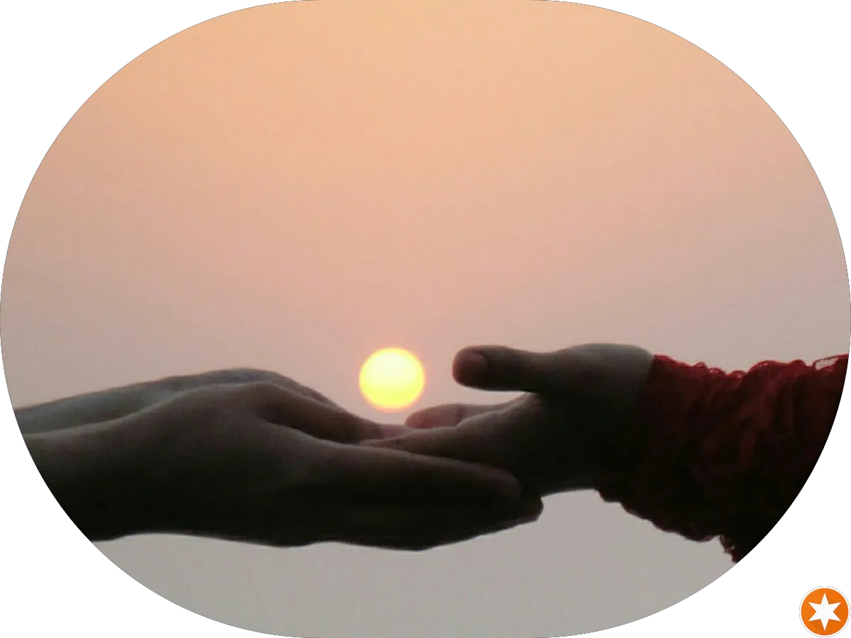 Custom Auto Relocation Experts