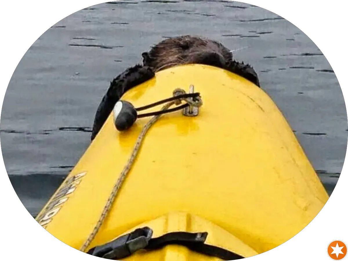 Cutters Limited Salon-Day Spa photo 2