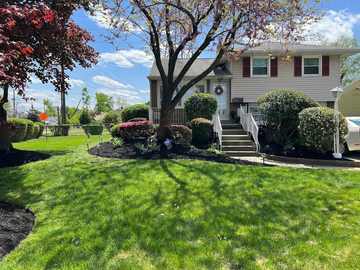 CUTTN UP LAWN CARE LLC photo 5