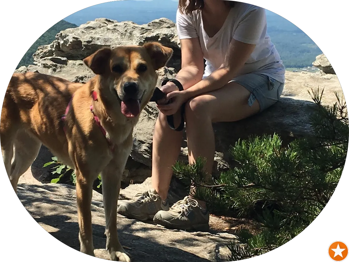 CVS Pharmacy photo 5