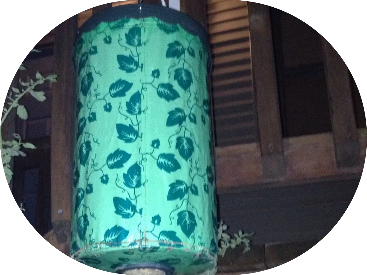 D Formica Cleaners photo 2