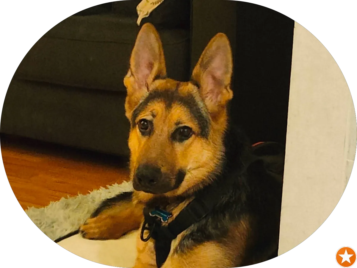 Dan Campos Fitness photo 5