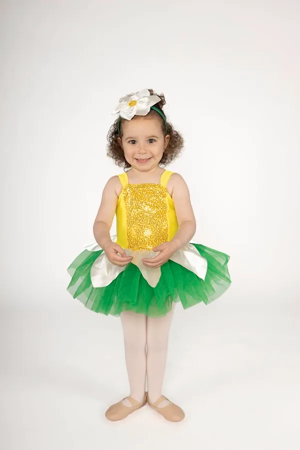 Dance Artistry Center photo 3