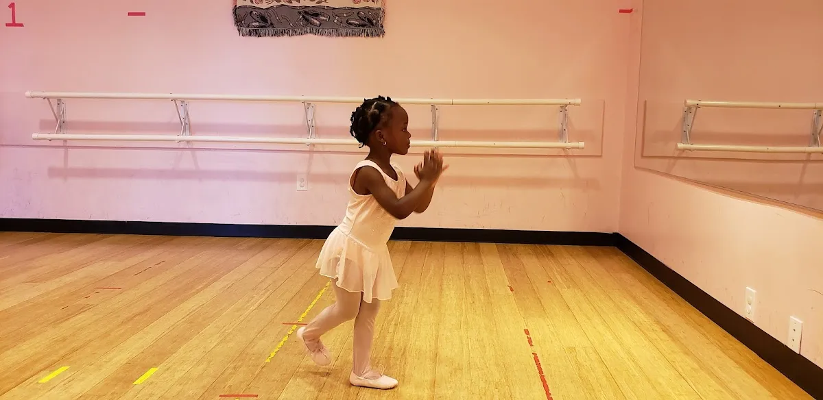 Dance Inc Center for the Arts photo 2