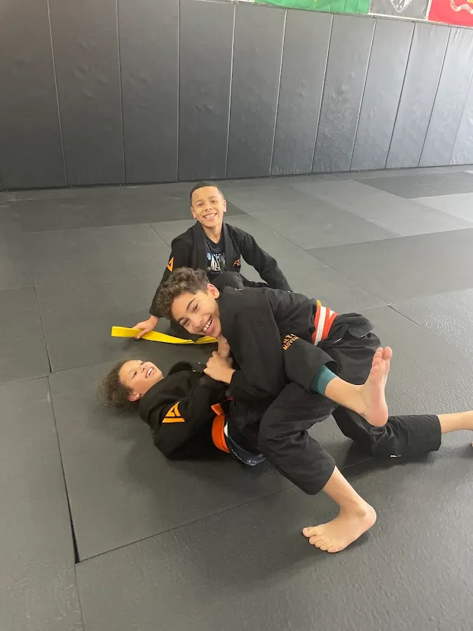 Daniel Gracie Art of Movement photo 2