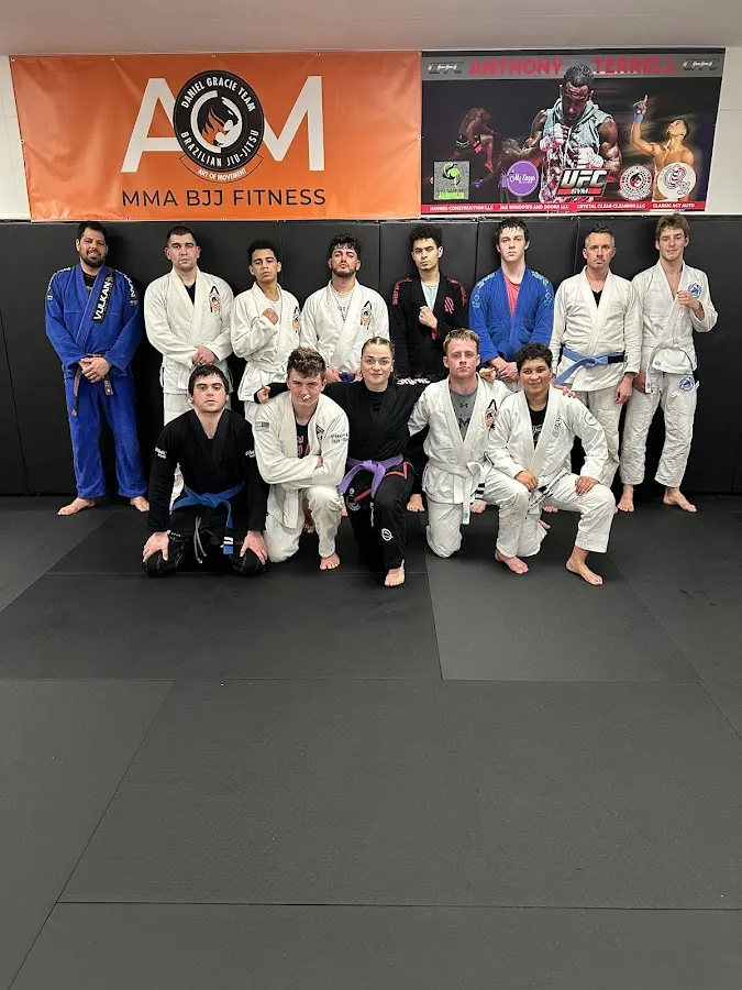 Daniel Gracie Art of Movement photo 5