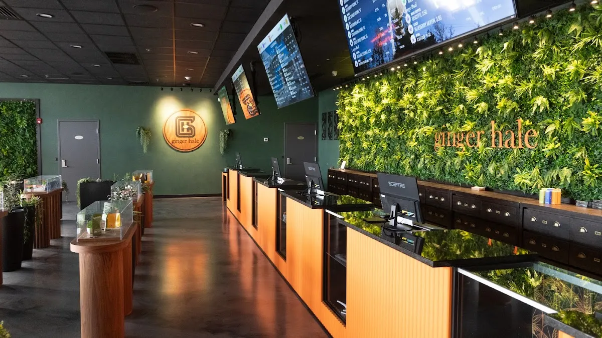 Danielle Lange Design photo 3