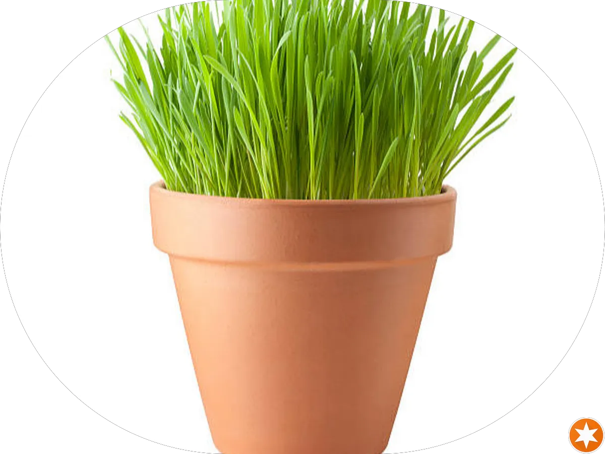 Danielle Ochman, BHHS Fox & Roach-Cherry Hill photo 4