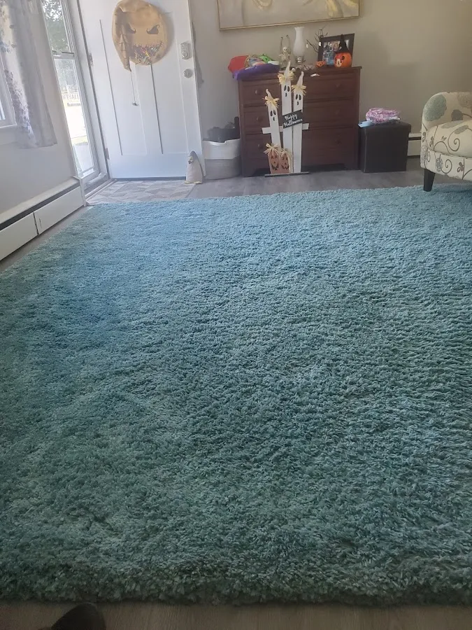 Davis Carpet & Upholstery