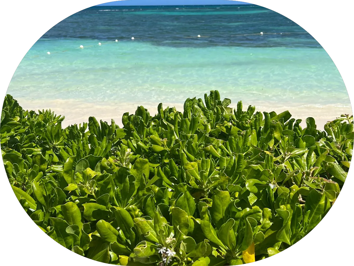 Day Lazala-Gordon, Berkshire Hathaway Fox & Roach Realty