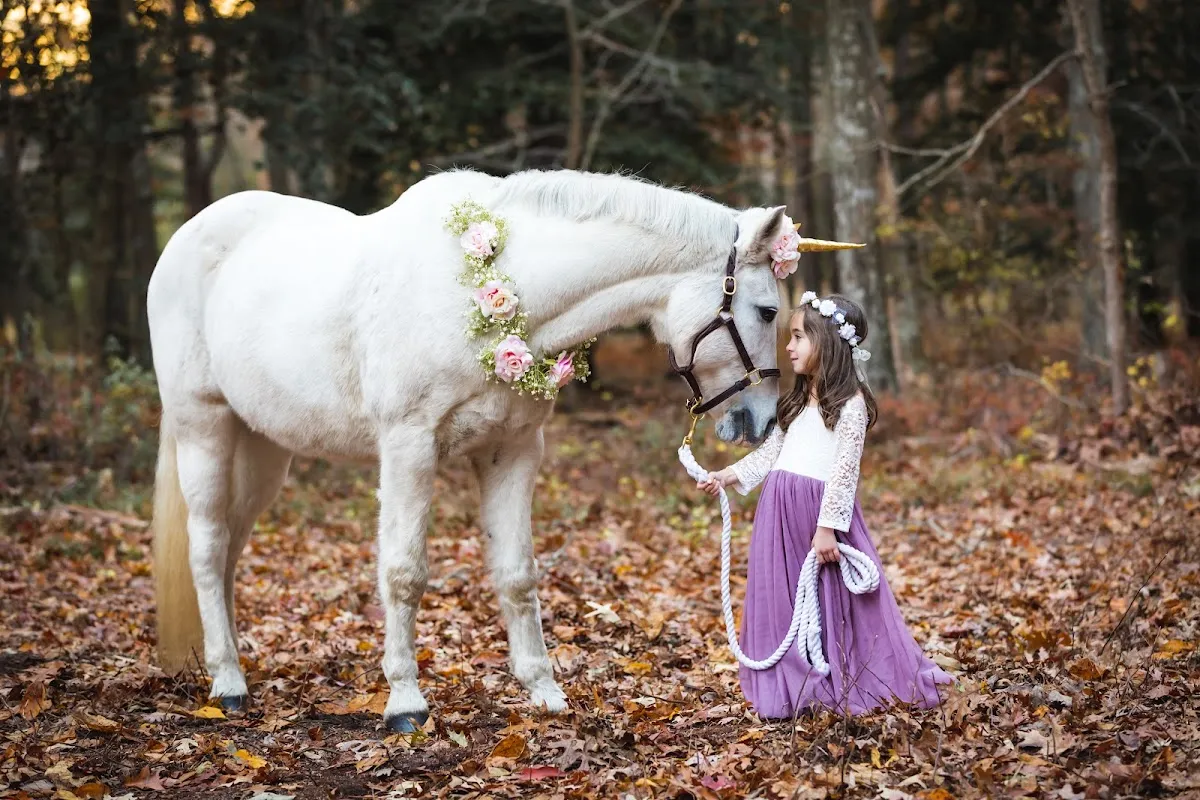 Dean Pellicano Photography