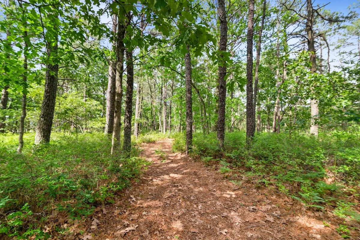 Deborah "Deb" Valvo Real Estate photo 2