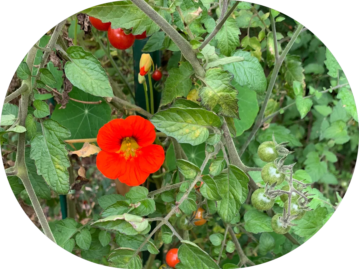 Deborah Specialty Physicians - Mt. Laurel photo 5