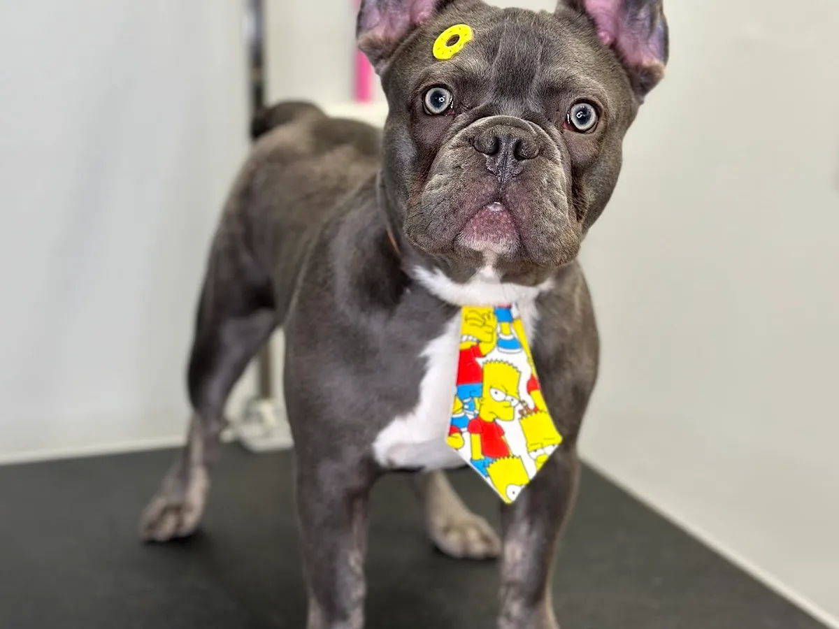 Deborah’s Pawfection